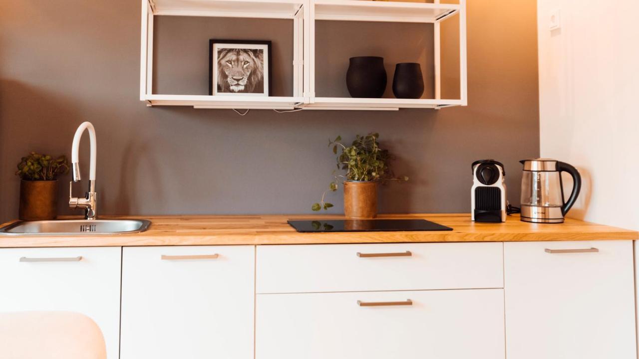 Stay At Smilla - Boutique Apartments Mit Kueche - Parken - Klima - Netflix - Waschmaschine Wiesbaden Exterior photo